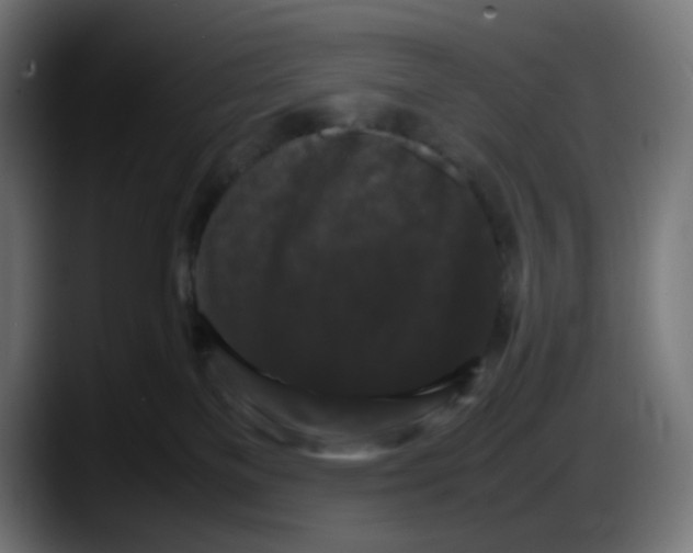 X0000087540137200705251728