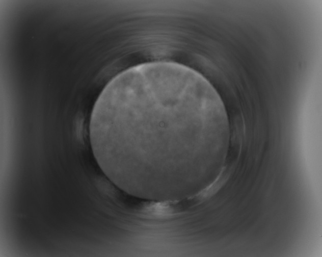 X0000087540140200705251727