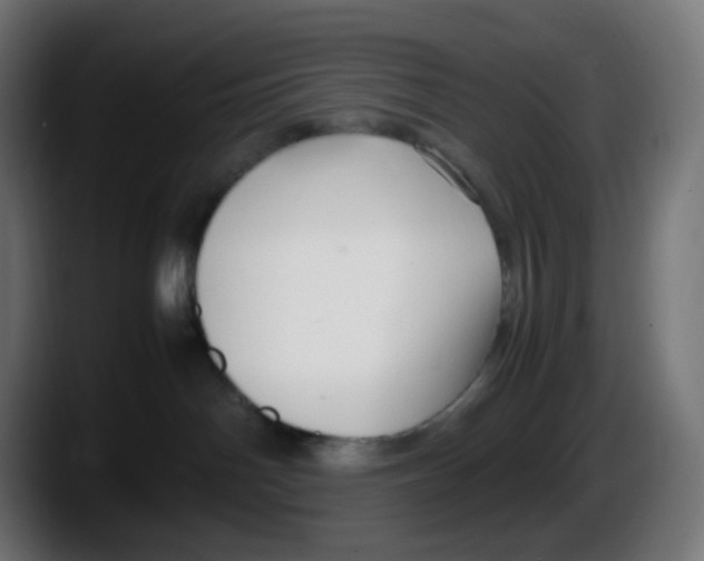 X0000087540142200705251727