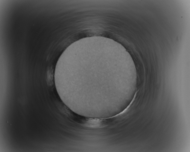 X0000087540144200705251727