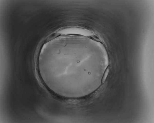 X0000087540145200705251727