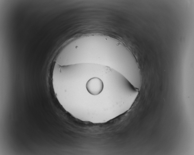 X0000087540146200705251727