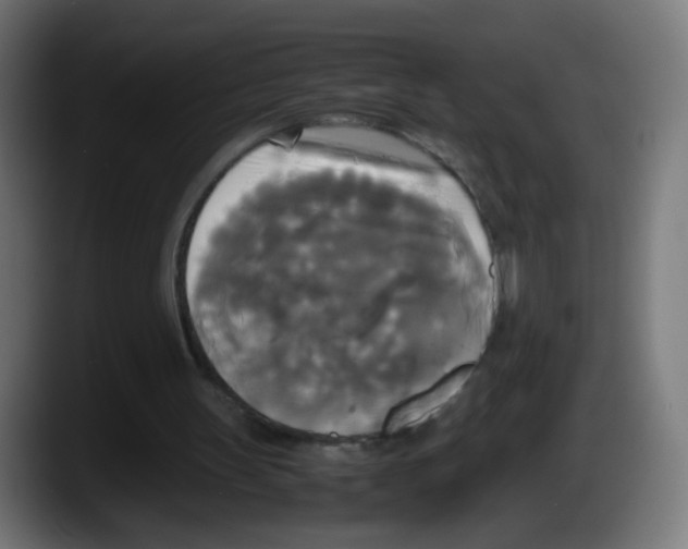 X0000087540147200705251727