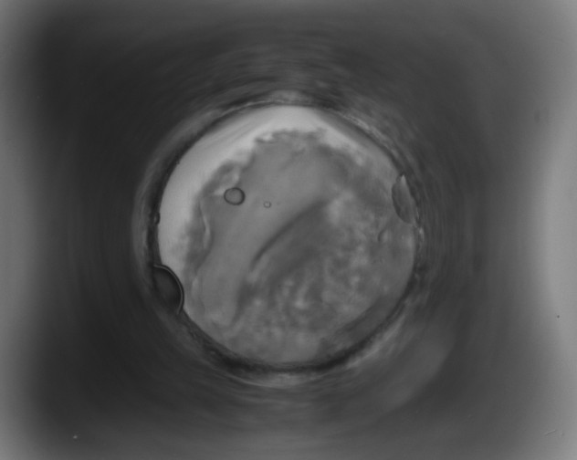 X0000087540149200705251727