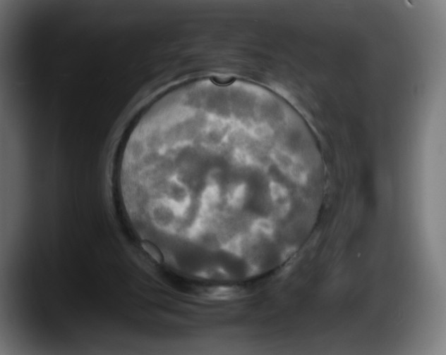 X0000087540151200705251727