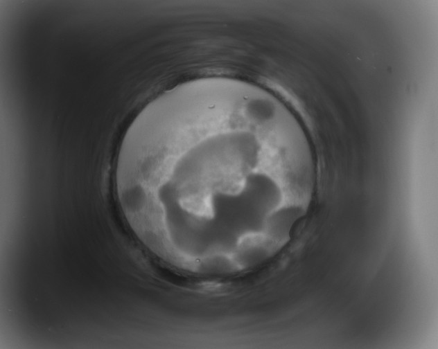 X0000087540153200705251727