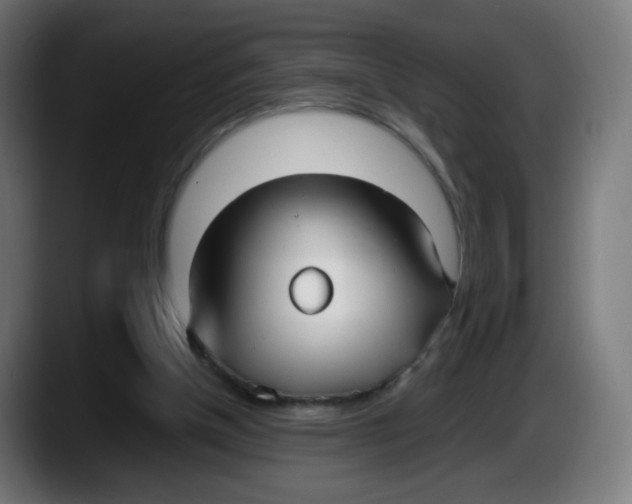 X0000087540154200705251727