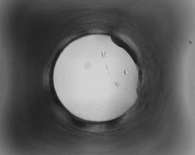 X0000087540155200705251727