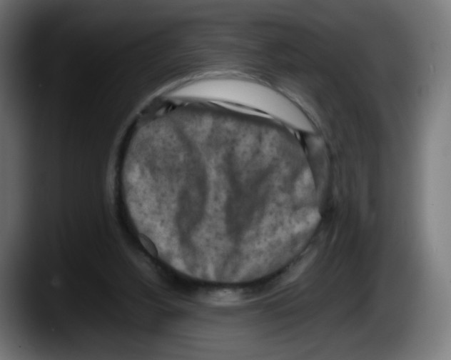 X0000087540156200705251727