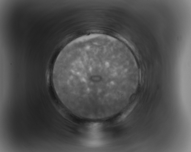 X0000087540157200705251727