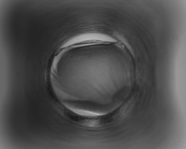 X0000087540161200705251727