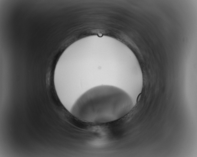 X0000087540163200705251727