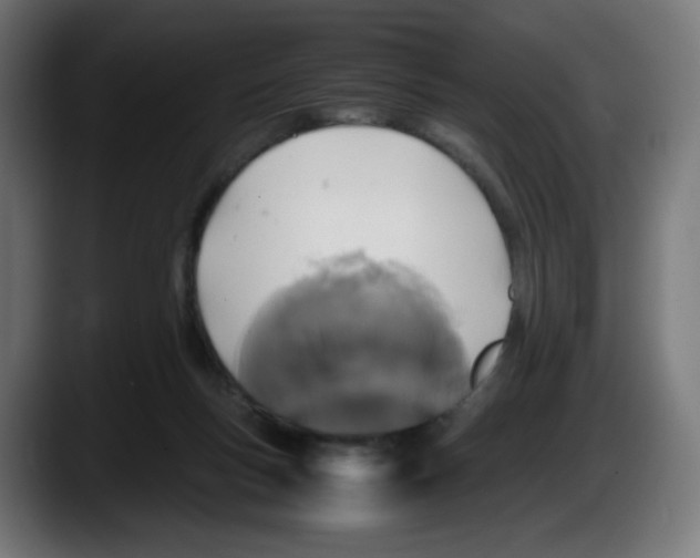 X0000087540167200705251727