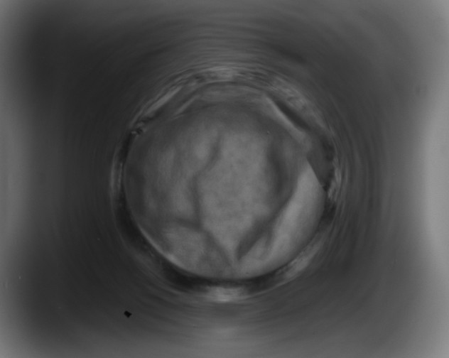 X0000087540168200705251727