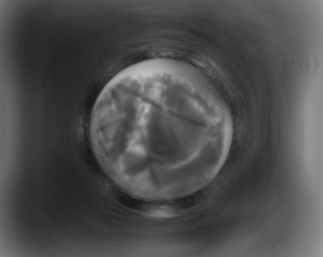 X0000087540169200705251727