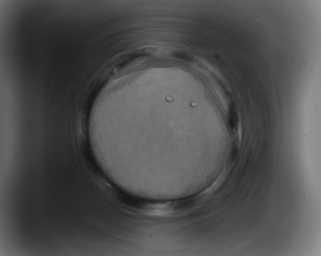 X0000087540170200705251727