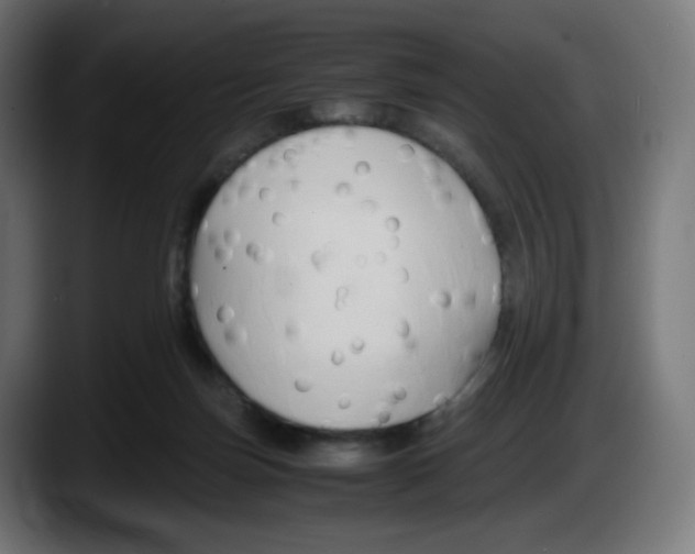 X0000087540171200705251727