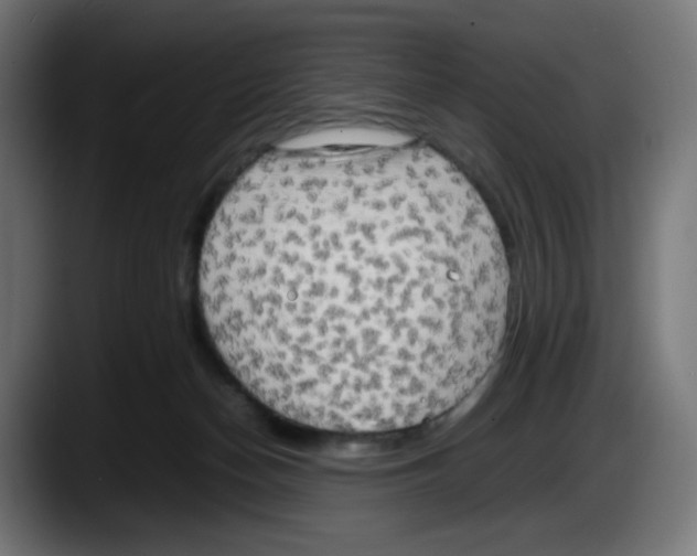 X0000087540174200705251727