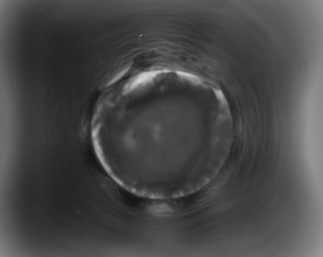 X0000087540177200705251727