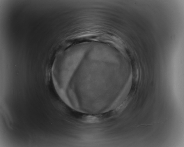 X0000087540180200705251727