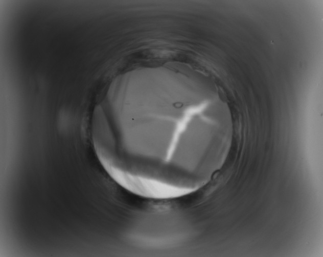 X0000087540181200705251727