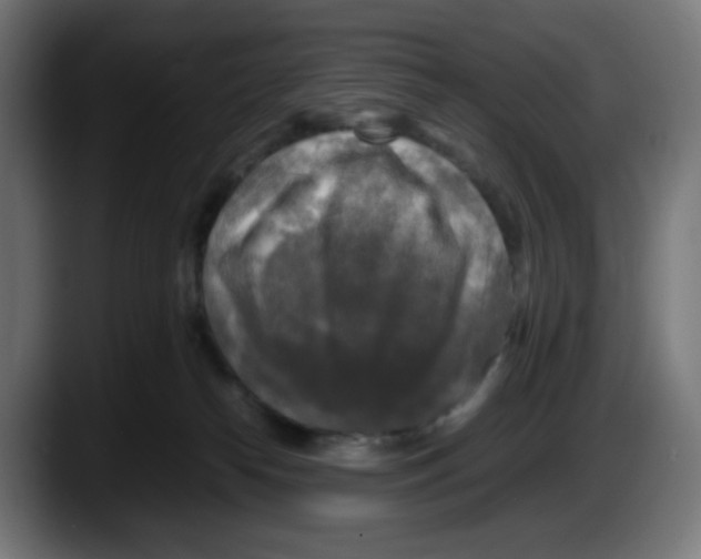 X0000087540182200705251727