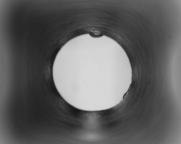 X0000087540183200705251727