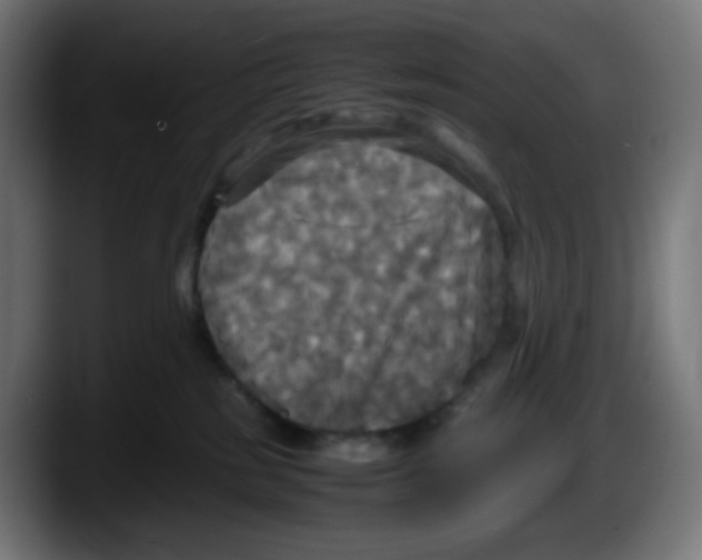 X0000087540185200705251727