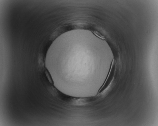 X0000087540186200705251727