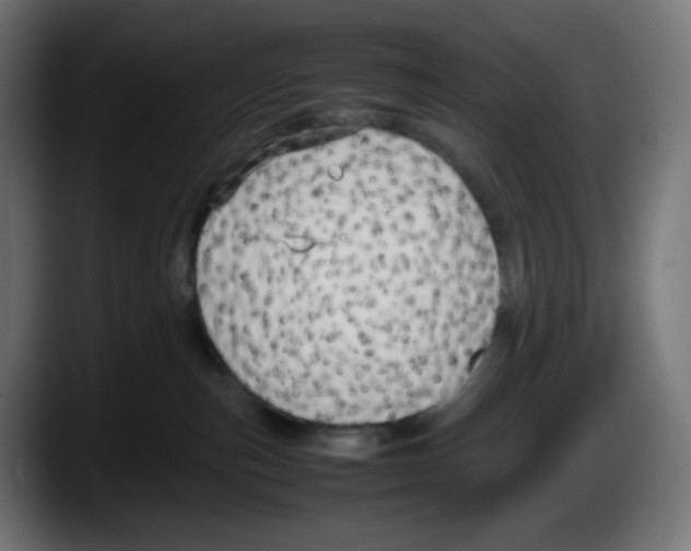 X0000087540187200705251727