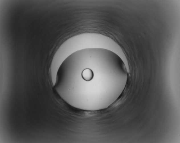 X0000087540188200705251727