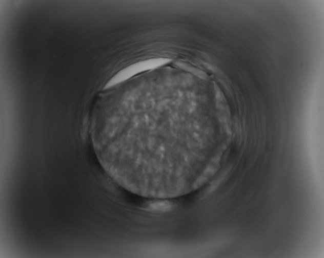 X0000087540189200705251727