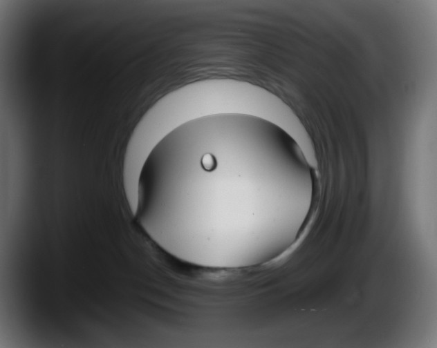 X0000087540190200705251727