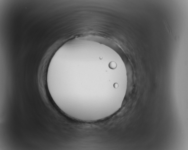 X0000087540193200705251727