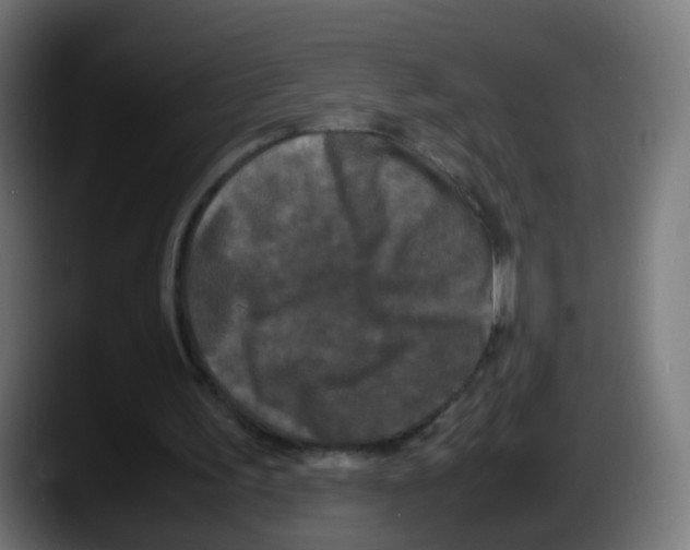 X0000087540195200705251727