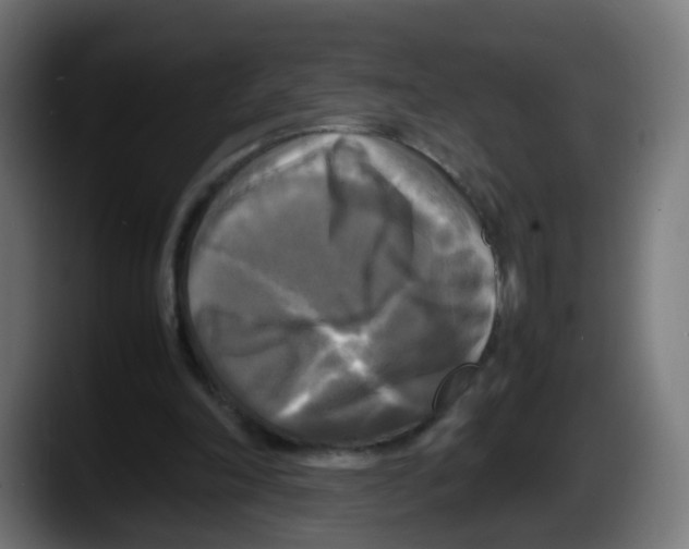 X0000087540198200705251727