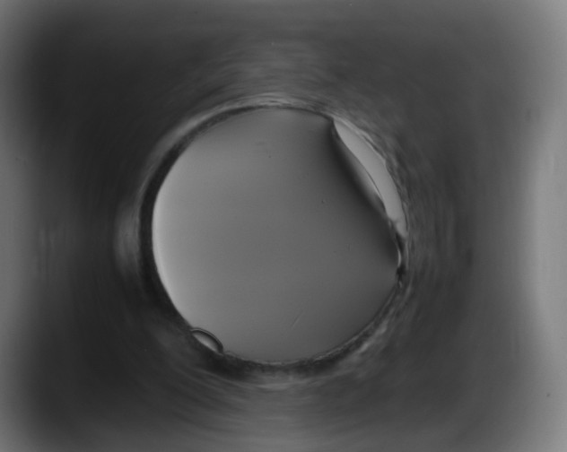 X0000087540200200705251727