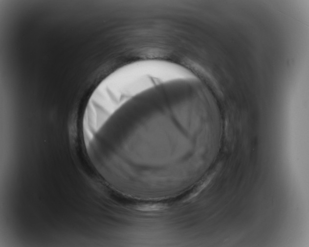 X0000087540202200705251727