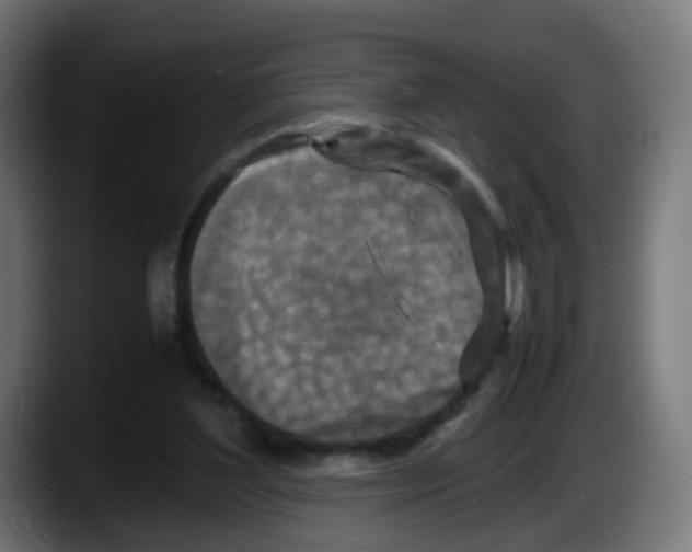 X0000087540204200705251727