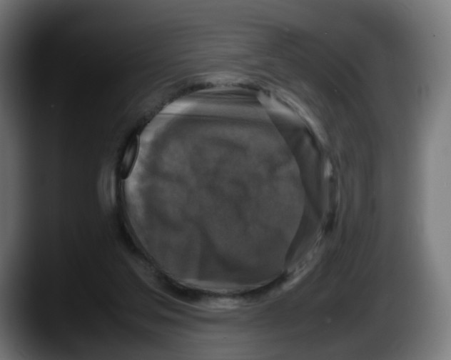 X0000087540205200705251727