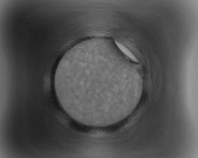 X0000087540207200705251727