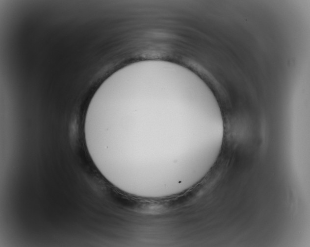 X0000087540208200705251727