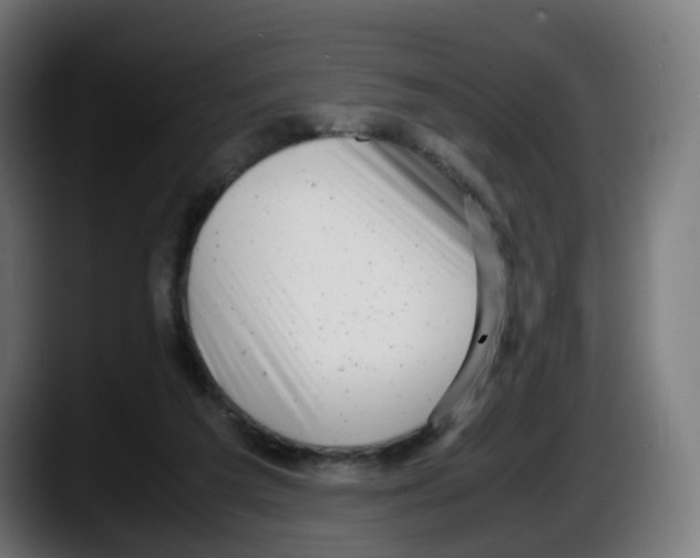 X0000087540209200705251727