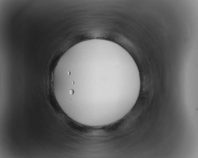 X0000087540210200705251727