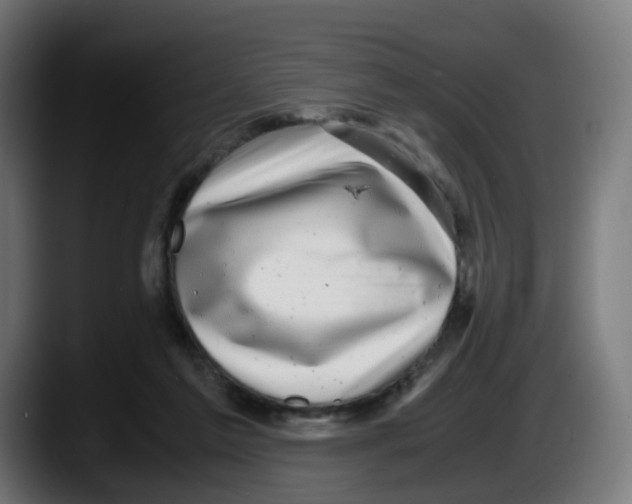 X0000087540213200705251727