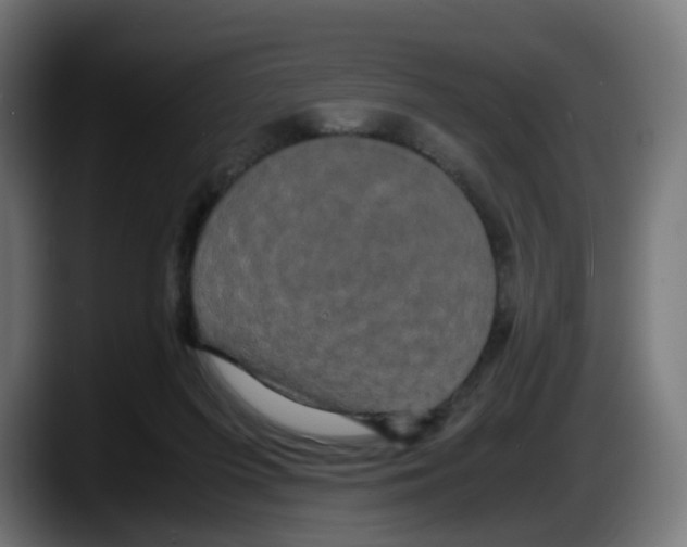 X0000087540215200705251727