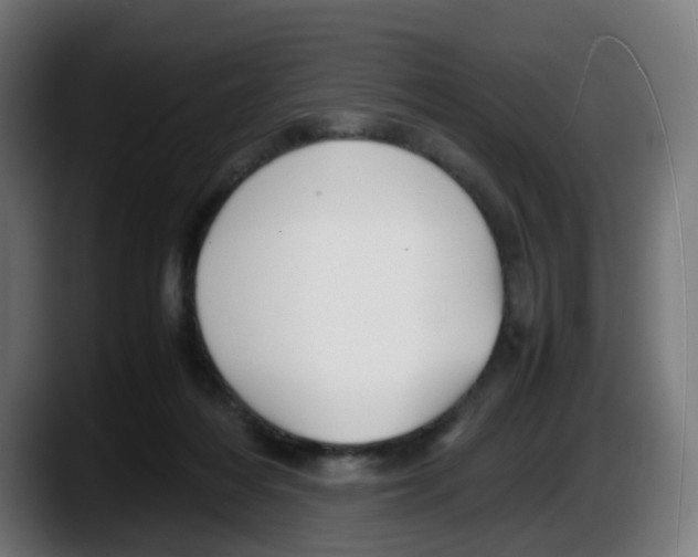 X0000087540216200705251726