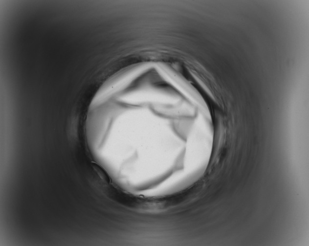 X0000087540217200705251726