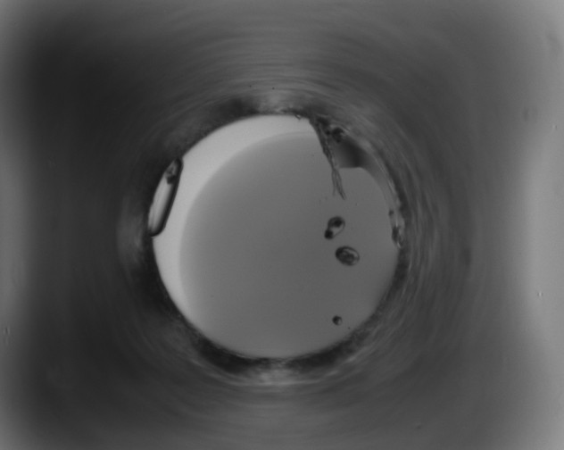 X0000087540219200705251726