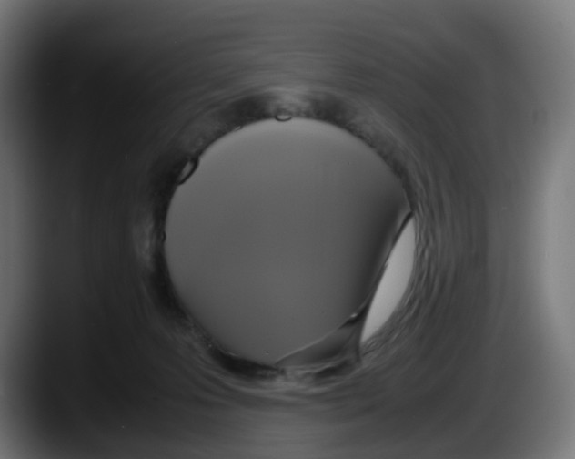 X0000087540223200705251726